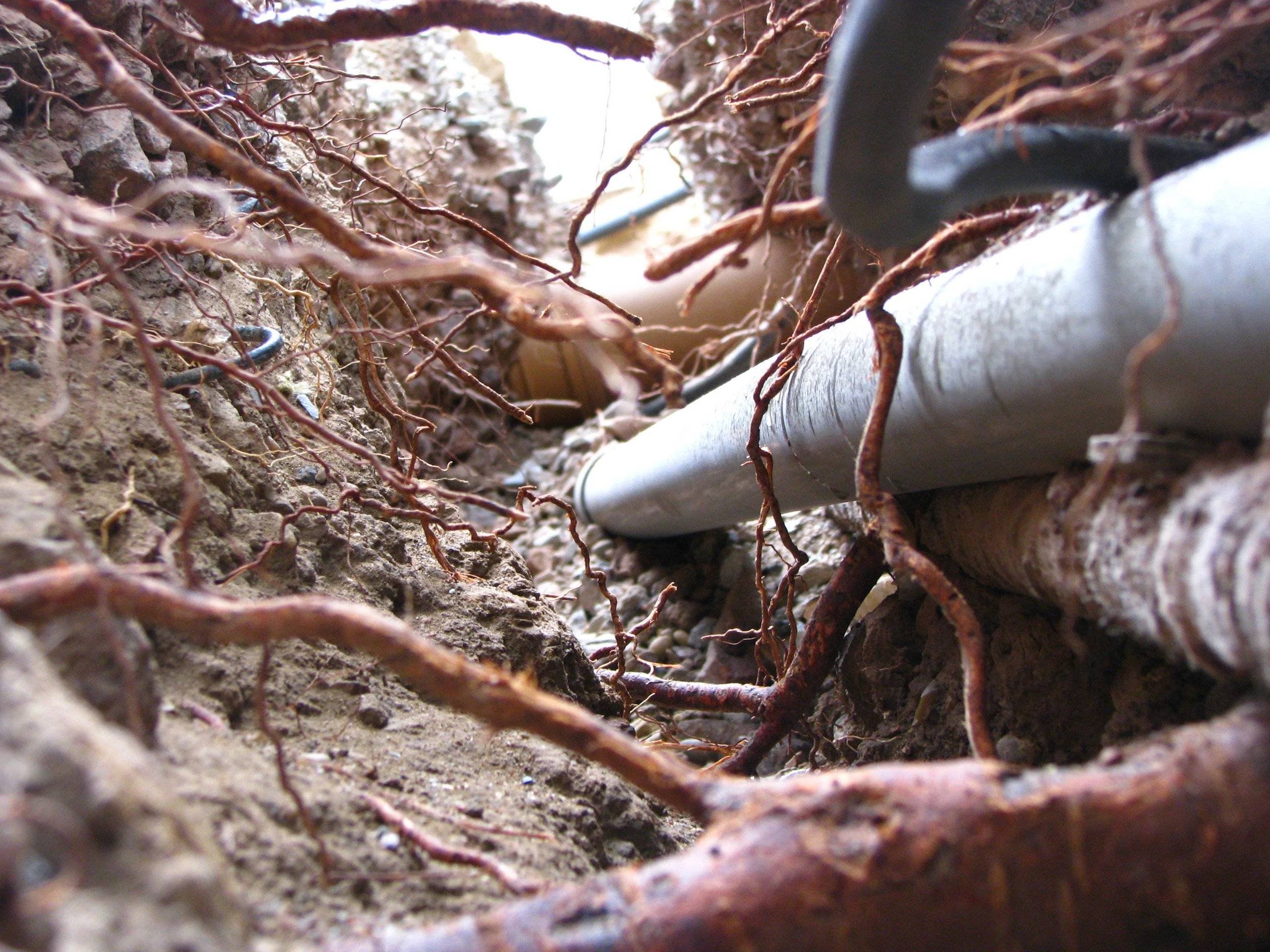 Plant Root Barrier Root Barrier Systems